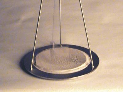 Sajou onyx in Bewegung